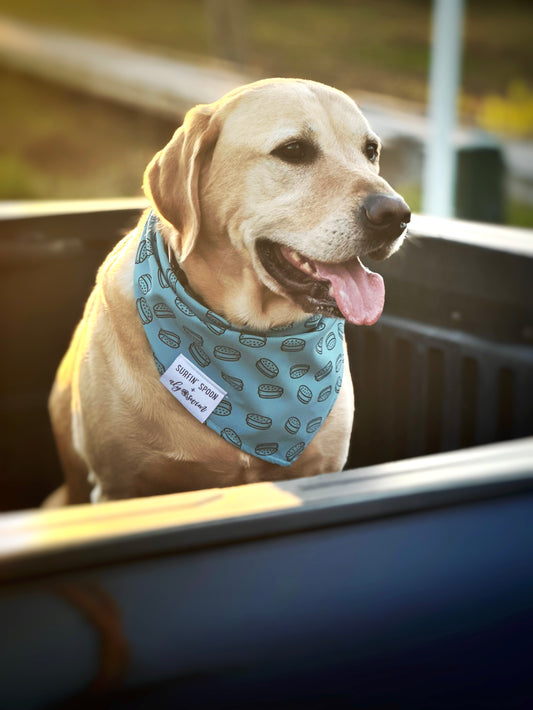 NEW!!! Dog Bandanas