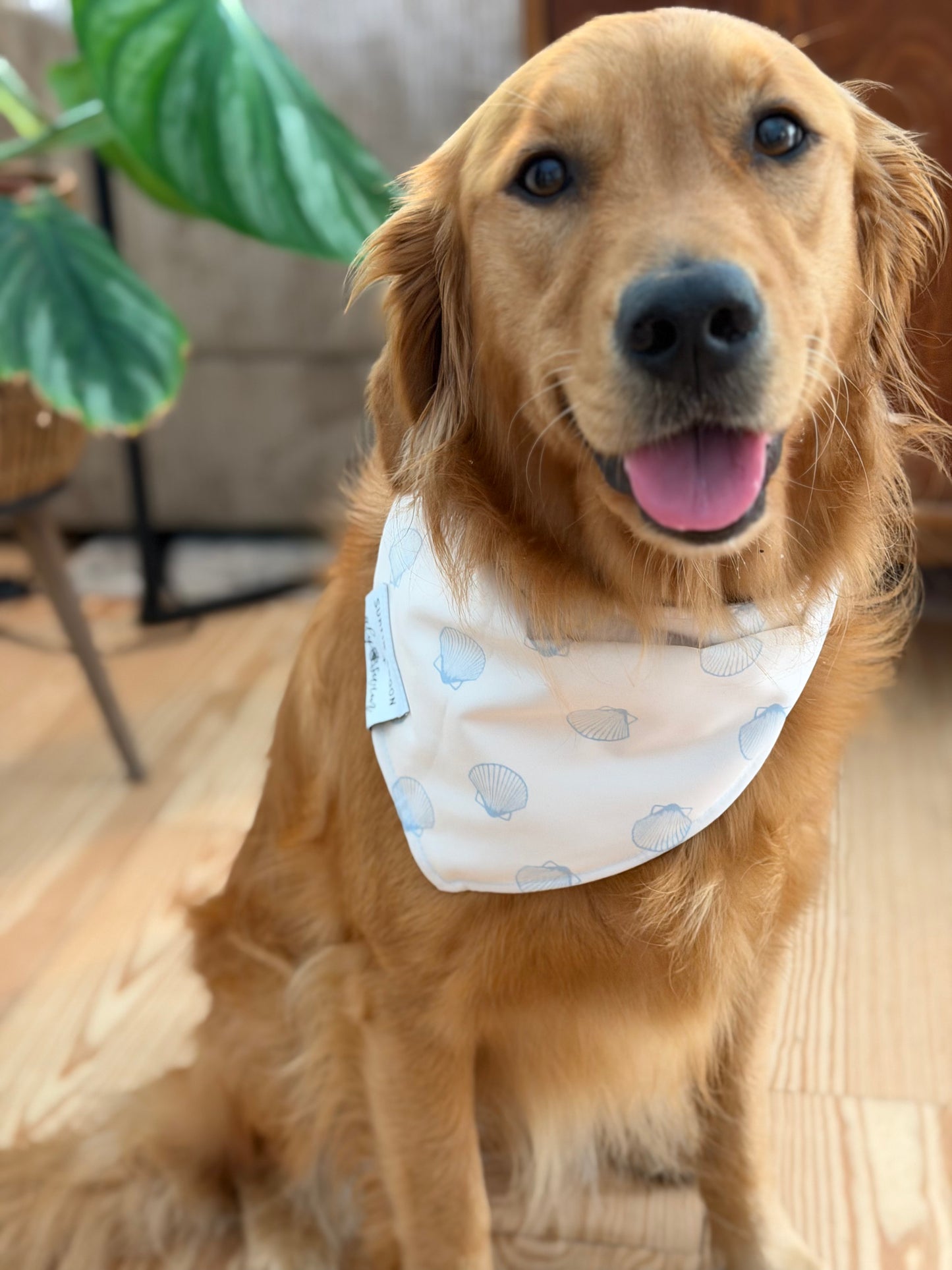 NEW!!! Dog Bandanas